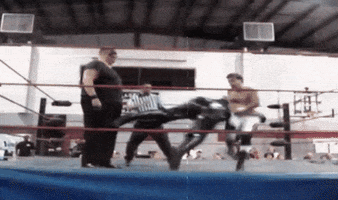 pro wrestling fighting GIF by Brimstone (The Grindhouse Radio, Hound Comics)