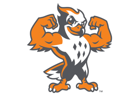UTSouthern giphyupload utsouthern utsfirehawks goutsfirehawks Sticker
