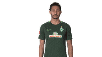 tell me what Sticker by Bundesliga