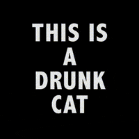 cat day GIF by Shaw Brothers