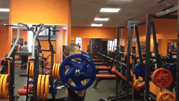 bodybuilding-and-fitness giphyupload zhim chiting GIF
