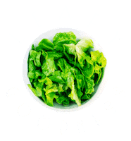 Vegan Salad Sticker