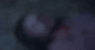 Halloween Bird GIF by Crypt TV
