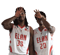 Sport Basketball Sticker by Elan Chalon