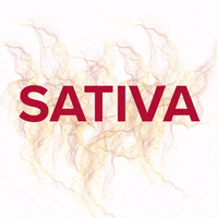 Vape Cbd GIF by loveihsinc