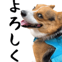 Corgi Milo Sticker