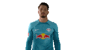 Football Sport Sticker by RB Leipzig