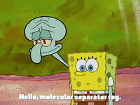 season 4 GIF by SpongeBob SquarePants