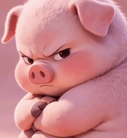 Pig GIF