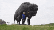 Wanderkid GIF by JW Francis
