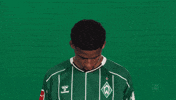 Werder Bremen Musah GIF by Bundesliga