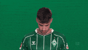Werder Bremen Deman GIF by Bundesliga