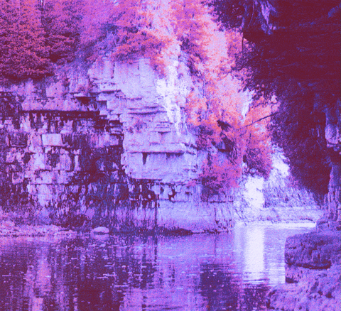 GIF by SCKUSE