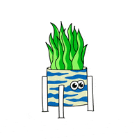 Friend Plant GIF
