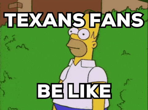 Houston Texans Nfl GIF by Respective
