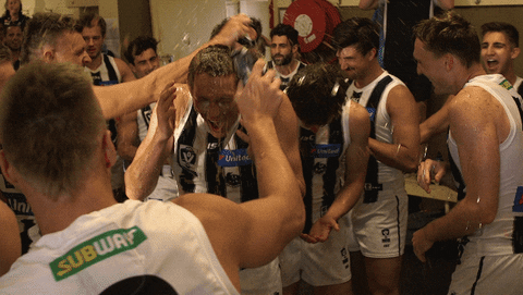 football win GIF by CollingwoodFC