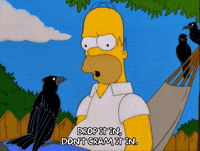 homer simpson GIF