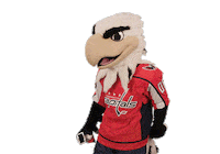 Ice Hockey Sport Sticker by NHL