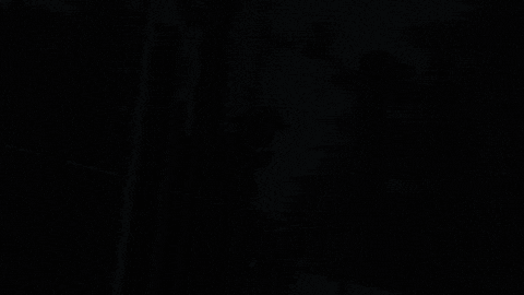 Motorcycles GIF by Gotham Ducati Desmo Owners Club