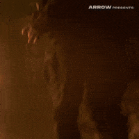 Sandra Bullock Film GIF by Arrow Video