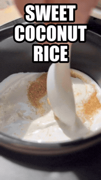 Sweet Coconut Rice | Rice Robot