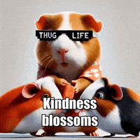 Joy Peace GIF by Guinea Gambino