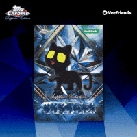 Collect Black Cat GIF by VeeFriends