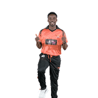 sunriserseasterncape cricket sec aya sunrisers Sticker