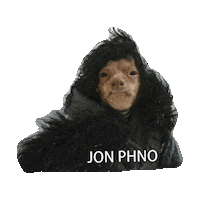 game of thrones STICKER by imoji