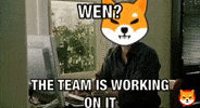 Shiba GIF by SHIB MEMES