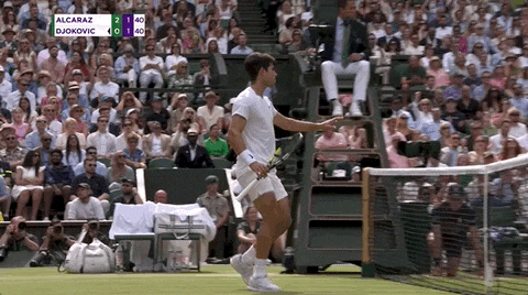 Grand Slam Sport GIF by Wimbledon