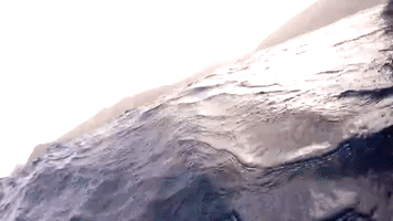 Diver Captures Amazing Swim With King Penguins