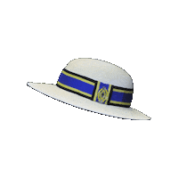 FairholmeCollege fairholme fairholme college panama hat fairholme hat Sticker