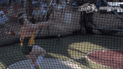 north dakota state bison GIF by NDSU Athletics
