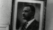 مصر GIF