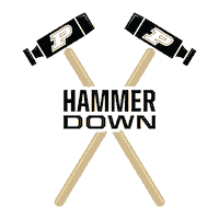 Protect Black And Gold Sticker by Purdue University