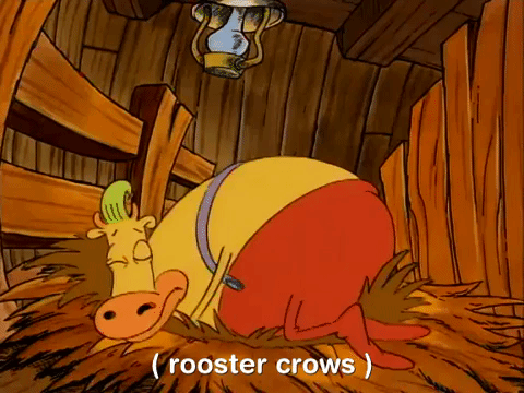 rockos modern life nicksplat GIF