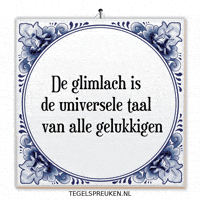 Humor Wijsheid GIF by Tegelspreuken.nl