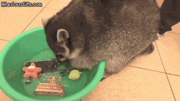smartphone GIF