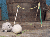 Happy Football GIF by Tweedy & Fluff