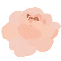 Pink Disney Sticker