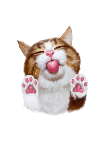 Rexiecat giphyupload cat cats kitty Sticker