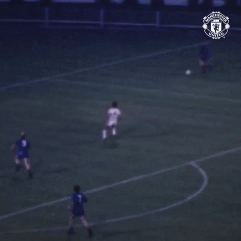 Celebrate Champions League GIF by Manchester United