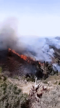 Thousands Evacuated as Wildfire Rages in Gran Canaria