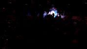 NewYorkRiptide new york lacrosse nll riptide GIF