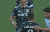 La Galaxy Love GIF by Major League Soccer