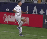 Celebrate Los Angeles GIF by Major League Soccer