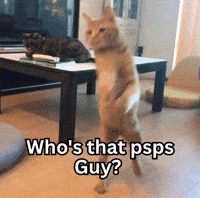 Funny Cat GIF
