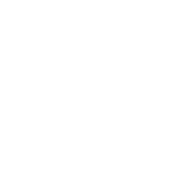 Stars Sparkle Sticker by Desnuda Tequila