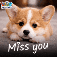 Miss You Love GIF by Lucas and Friends by RV AppStudios